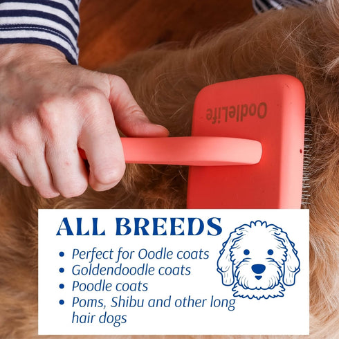 Dog Slicker Brush for Grooming Poodle Brush for Shedding Medium & Long Haired Dogs Brush - Poodle and Goldendoodle Long Pin Pet Hair Brush for Doo...