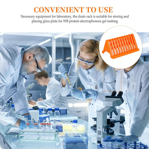 Biological Specimen Slides Holder 2pcs Microscope Slides Staining Rack Glass Slide Holder Lab Sample Slide Storage Shelf for Basic Biology Lab Sci...