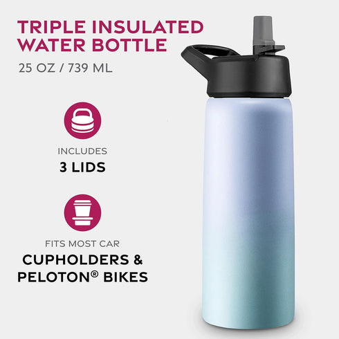 FineDine Triple Walled, Insulated Water Bottles with Straw - 25 Oz Stainless Steel Metal Bottle W/ 3 Leak Proof Lids - For Travel, School, Sports,...