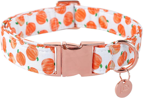 Halloween Dog Collar with Metal Buckle Gift Fall Dog Collar for Small Medium Large Girls or Boys Dogs Cute Pumpkin Cotton Pet Collars...
