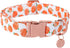 Halloween Dog Collar with Metal Buckle Gift Fall Dog Collar for Small Medium Large Girls or Boys Dogs Cute Pumpkin Cotton Pet Collars...