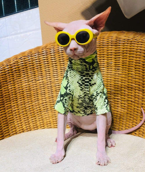Limited Edition Cool Sphynx Hairless Cat Summer Snake Skin pattern Cotton T-Shirts Pet Clothes, Round collar vest Kitten Shirts sleeveless, Cats &...