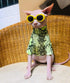 Limited Edition Cool Sphynx Hairless Cat Summer Snake Skin pattern Cotton T-Shirts Pet Clothes, Round collar vest Kitten Shirts sleeveless, Cats &...