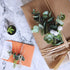 Supla 3 Pcs Realistic Eucalyptus Leaves Bushes Artificial Greenery Stems Faux Eucalyptus Branches in Grey Green 14.6" Tall for Vase Bouquets Wreat...