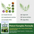 Herbmood Cleavers Lymphatic Drainage Tea Bags for Lymph System Support, Horsetail and Dandelion Organic Herbal Formula, Lymphatic Cleanse & Detox,...