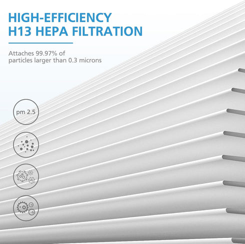 iSingo 2 Pack MK-01 MK-06 TZ-K1 True HEPA Replacement Filter Compatible with MK-01 MK-06, ToLife TZ-K1, POMORON MJ001H, EPI081/EP1081 and Intelabe...