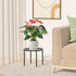 1 PCS Plant Stand-6.69IN Small Plant Rack, Heavy Duty Flower Pot Stands, Plant Pot Shelf Anti-rust Potted Plant Holder for Room Indoor and Outdoor...