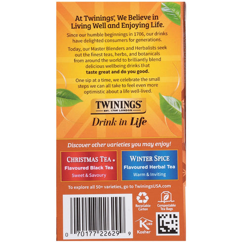 Twinings Gingerbread Joy Holiday Tea, Black Tea Naturally Flavored with Cinnamon and Ginger, Tea Bags Individually Wrapped, 20 Count Ea (Pack of 2...