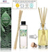 Urban Naturals White Tea Scented Oil Reed Diffuser Refill | Includes a Free Set of Reed Sticks! 4 oz....