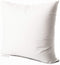 EDOW Luxury Throw Pillow Insert, Soft Fluffy Down Alternative Polyester Square Form Decorative Pillow Insert,Sham Stuffer,Cotton Cover for Sofa, C...