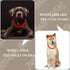Red Dog Chain Collar-3/4 Inch ?20mm? Width Cuban Link Durable Dog Necklace, Cute Fashion Pet Collar for Pit Bulldog, Light Metal Jewelry Bold Chai...