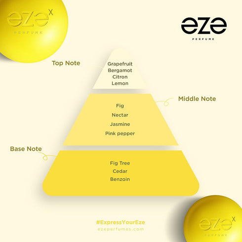 VIBE 30ml EDP Premium Long Lasting Fragrance | Luxury Intense Scent for Unisex | Affordable Perfume | Vegan Perfume | Cruelty Free | Skin Safe | T...