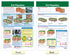 NewPath Learning Dynamic Earth Bulletin Board Charts, Set/3 - Laminated, Double-Sided, Full-Color, 12" x 18" (94-8002)...