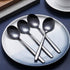 Berglander Black Dinner Spoon Set of 4, Stainless Steel with Titanium Plating...