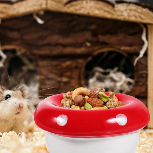 Ipetboom Ceramic Bowl Mushroom Kitten Food Bowl Guinea Pig Bowl Ceramics Water Bowl Feeding Tray Porcelain Nest for Rabbit Guinea Pig Hedgehog Squ...