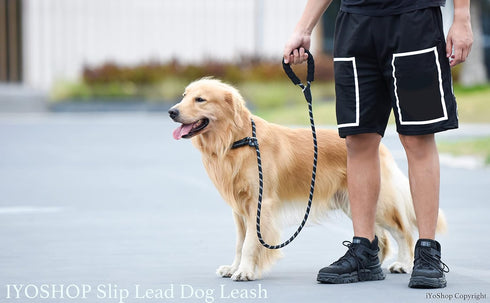 iYoShop 6 FT Durable Slip Lead Dog Leash with Padded Handle and Highly Reflective Threads, Dog Training Leash, (Medium/Large, 35~120 lbs, Black)...