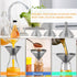 6 Pcs Stainless Steel Mini Funnels for Kitchen use. Large Tiny Small Funnel Set of 3, Metal Cooking Powder Food Grade Flask Funnels for Filling Bo...