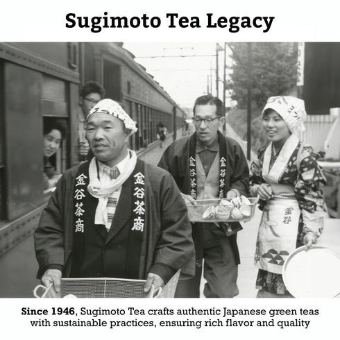 SUGIMOTO TEA Japanese Sencha Green Tea Loose Leaf 3.5 oz (100 g) Pack of 1...