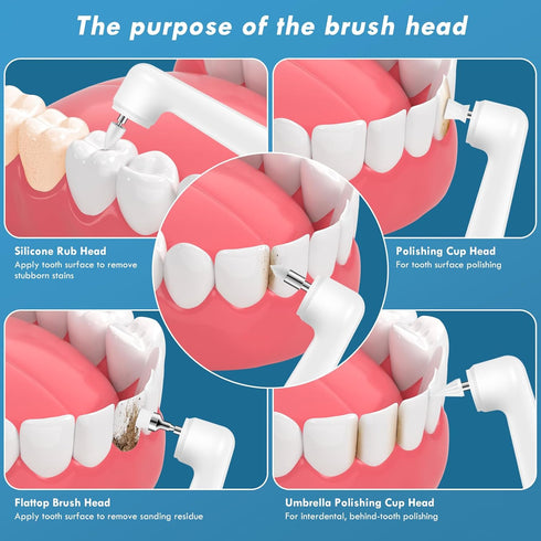 Tooth Polisher Replacement Heads, 5 Types of Brush Head Accessories...