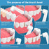 Tooth Polisher Replacement Heads, 5 Types of Brush Head Accessories...