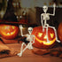 1 Pack Halloween Skeleton Decorations, 15.7" Halloween Full Body Mini Skeleton with Movable Posable Bones,Spooky Skeleton for Halloween Party Deco...