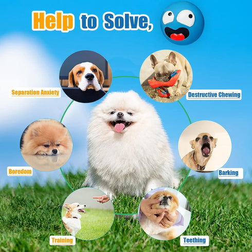 Squeaky Dog Toy for Small Dogs, Rubber Latex Puppy Toys Small Dog Toys, Soft Small Dog Squeaky Toys, Smile Face Squeaky Dog Balls Flat for Mini, S...