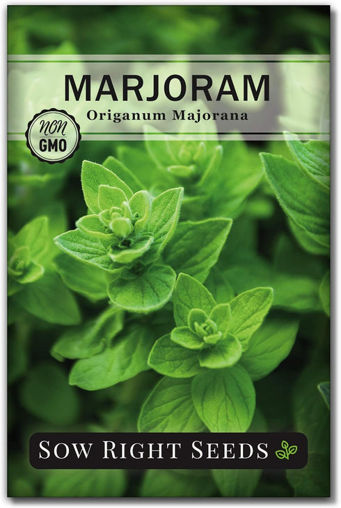 Sow Right Seeds - Marjoram Seeds for Plantin - Non-GMO Heirloom Packet with Instructions to Grow A Beautiful Herb Garden - Plant Indoors and Outdo...
