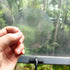 Holographic Window Decals for Bird Strikes - Glass Reminder Anti-Collision Window Stickers - Avoid Birds Hitting Windows, Circle, 25 Pieces...
