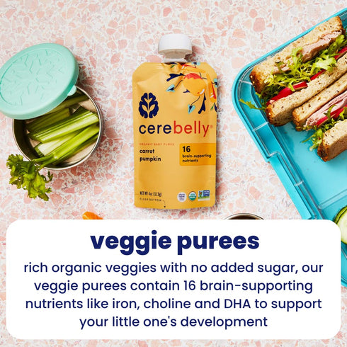 Cerebelly Baby Food Pouches – Organic Carrot Pumpkin (4 oz, Pack of 6) - Toddler Snacks - 16 Brain-supporting Nutrients, Healthy Snacks, Made with...
