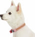 Blueberry Pet Sparkling Rhinestone Adjustable Dog Collar with Metal Buckle, Baby Pink, Neck 9-12.5", for Small Breed...