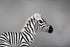 Ice King Bear Wild Animal Stuffed Animals Zoo Family Plush Toy (Zebra 11 Inches)...