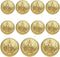 11 Piece Blazer Button Set - for Blazer, Suits, Sport Coat, Uniform, Jacket (Gold 11 Piece 2#) 15MM 20MM...