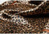 Large Square Black Tan Brown Leopard Cheetah Animal Print Polyester Silk Scarf Women's Scarves Hijab Shawl Pashmina Headband Bandana 36" x 36" inc...