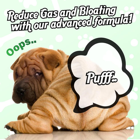 Probiotics for Dogs, Gut H??lth and Digestive Support...
