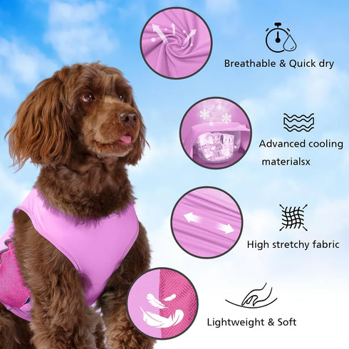 2 Pack UPF 50+ Sun Protection Dog Shirt,Sports Fan Pet T-Shirts for Small Dogs Girl, Lightweight Dog Tshirts with Reflective Strip Sleeveless Pupp...