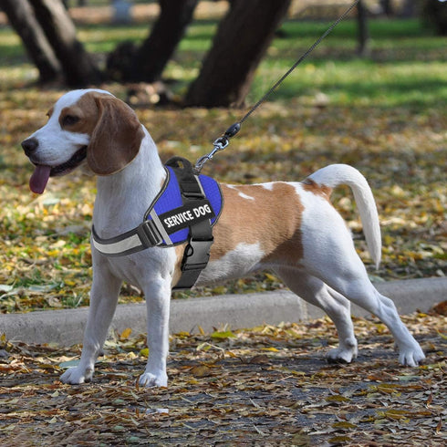 Dog Harness,No-Pull Service Dog Harness with Handle Adjustable Outdoor Pet Dog Vest 3M Reflective Nylon Material Vest for Breeds,Easy Control for ...