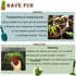 Kids Gardening Tools Gloves Set 3 Cute Shovel Spade for Kid Garden Work with 1 Toddler Gloves for Teen Boy Girls...