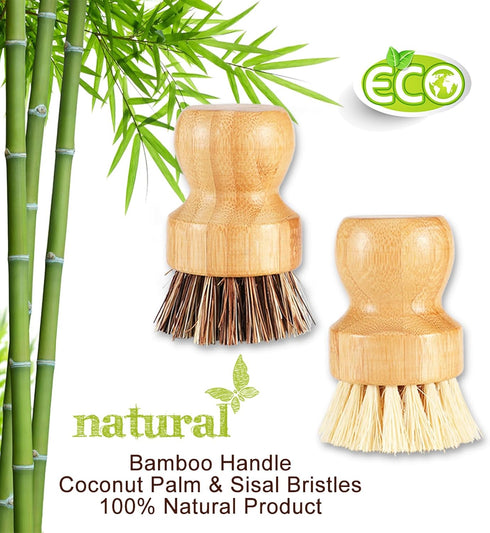 Bamboo Brush Dish Scrubber Clean Pan and Vegetable, Natural Bristles Palm Pot Brush 2 Pack Round Mini Dish Brush with 2 Ceramic Dish for Kitchen S...