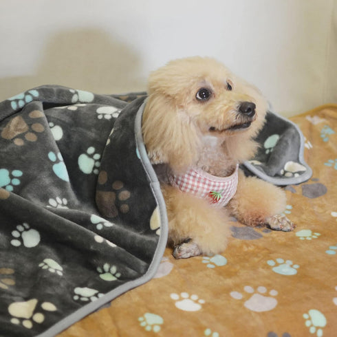 1 Pack 3 Puppy Blankets Super Soft Warm Sleep Mat Cute PAW Print Blanket Fleece Pet Blanket Flannel Throw Dog Blankets for Small Dogs Puppy Cats,G...