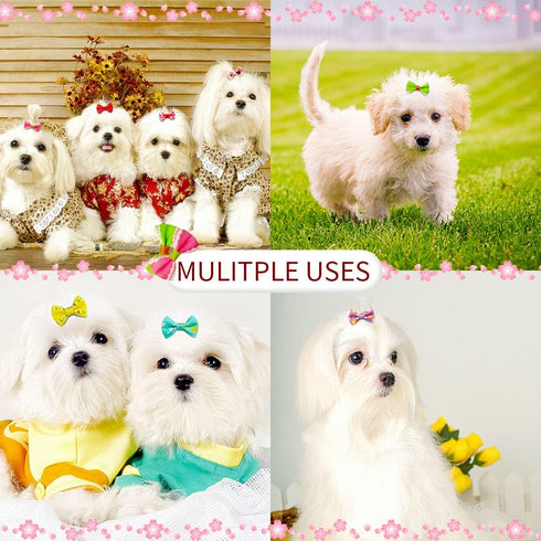 80pcs Dog Bows Clips, Bulk Cute Mini Pet Small Youkie Dog Hair Bows with Clips, Mix Handmade Puppy Dog Hair Grooming Bows with Metal Alligator Cli...