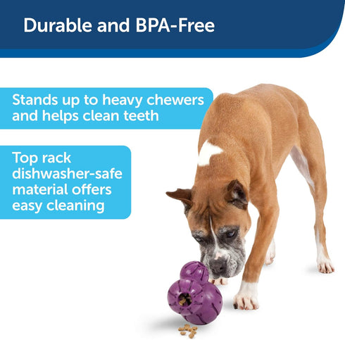 PetSafe Busy Buddy Barnacle - Dog Chew Toy - Treat Dispensing Dog Toys...