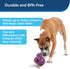 PetSafe Busy Buddy Barnacle - Dog Chew Toy - Treat Dispensing Dog Toys...