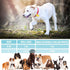 SCENEREAL Large Dog Collar Bell, 2 Pack Dog Bell for Collar, Noise Maker Extra Loud Anti-Theft Bell for Training, Hiking, Walking, Hunting, Pet Tr...