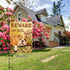 Lazy English Bulldog Garden Flag - Beware of Dog House Flags Double-sided Welcome Home Flag Dogs Yard flags Small Yard Patio Lawn Decor 12 x 18 In...