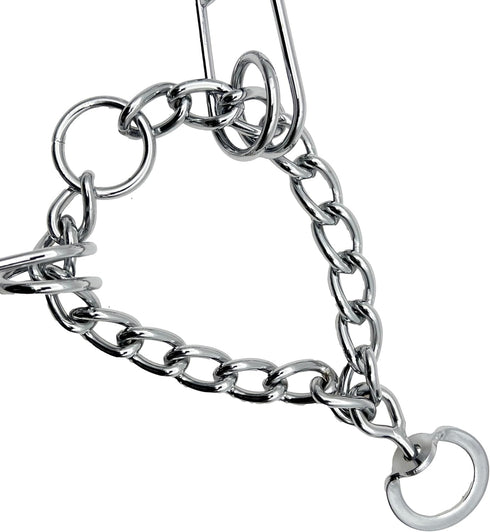 Silver No Pull Dog Collar,Prong Collar for Dogs. (XL)...
