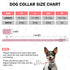Leather Dog Collar for Puppy Small Medium Dogs, Adjustable Star and Moon Studded Pet Collars with Rust-Proof Metal Buckle and Charms, XS S Dog Col...