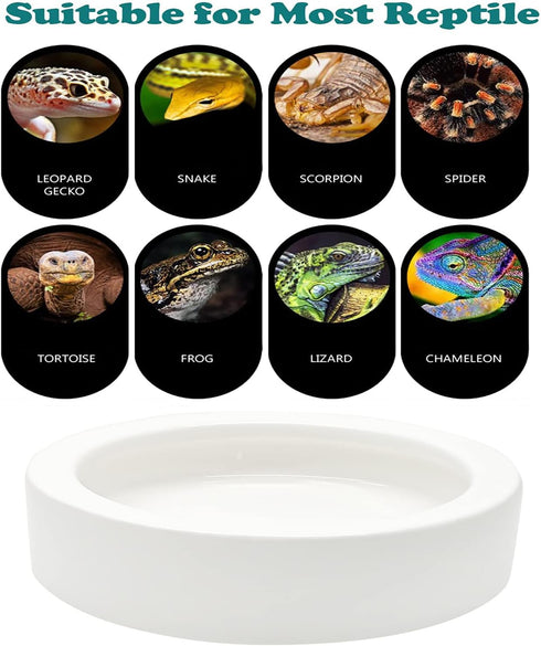 2 Pcs Reptile Food Bowl Ceramic Water Feeder Bowls Anti- Escape Mini Reptile Feeder for Lizard, Gecko etc, Round...