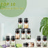 Essential Oils Set - 10x5ML Premium Essential Oil Kit for Candle Making, Diffusers, Massages, Aromatherapy, Skin Care - Lavender, Eucalyptus, Pepp...
