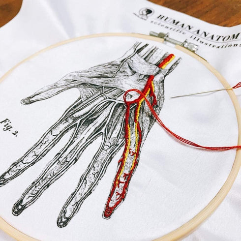 Mr. Sci Science Factory DIY Blood Vessel Embroidery Kit, Including Embroidery Cloth with 2 Pattern on Fabric, Embroidery Hoop, Color Threads and T...