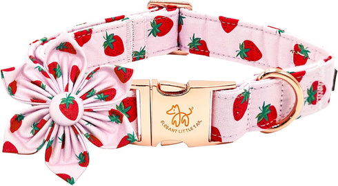 Elegant little tail Dog Collar with Flower, Strawberries Print Pet Collar Flower Dog Collar Summer Cute Dog Collar Adjustable Dog Collar for Small...